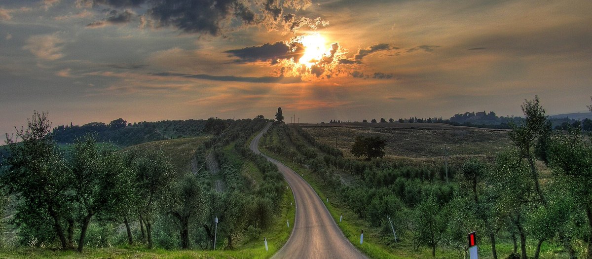 Een landweg richting de zonsondergang, tussen de olijfbomen van de Crete Senesi · Italiaanse grammatica A2