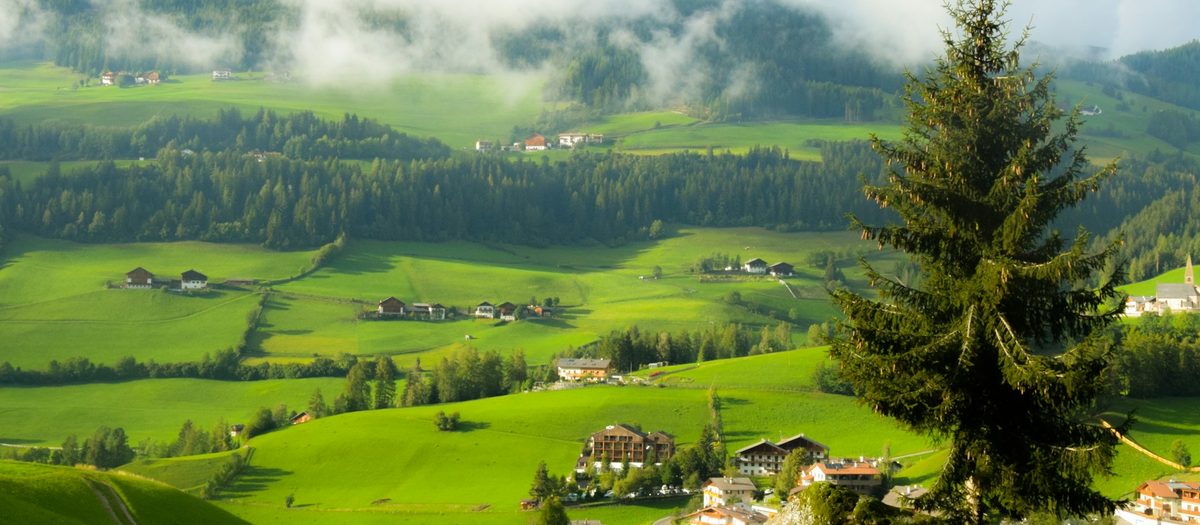 Een groen dal met verspreide huizen en een spar op de voorgrond · Italiaanse grammatica B2