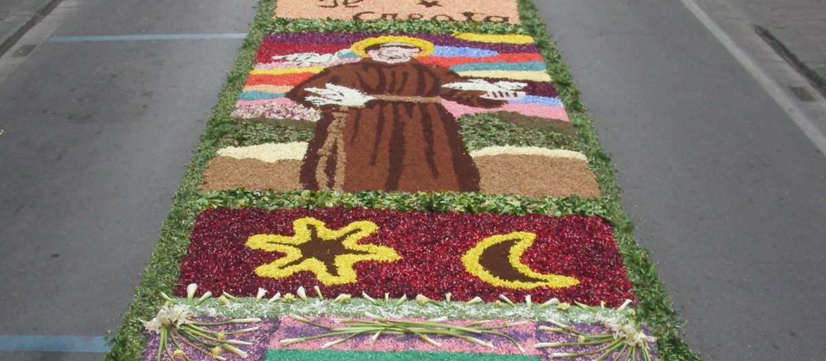 Een bloementapijt op straat voor het feest