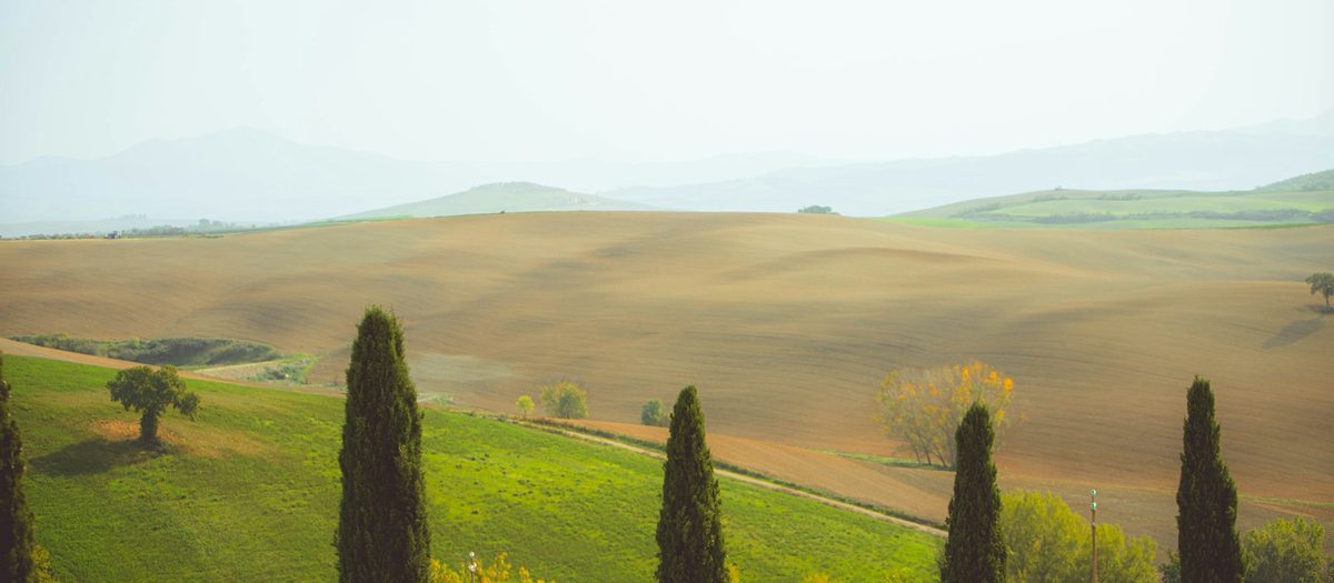 Toscaanse heuvels met cipressen, in de ochtendnevel · Italiaanse grammatica A2