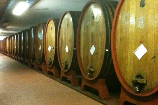 Una fila di enormi botti di legno nella cantina di un'azienda vinicola in Sardegna