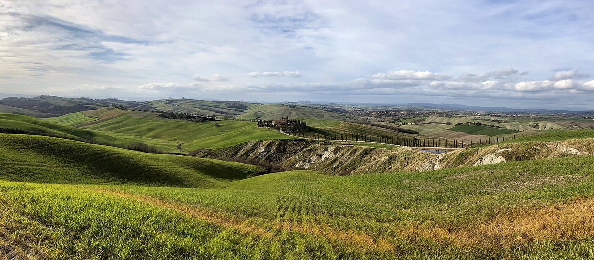 Le colline verdi delle Crete Senesi, con un viale di cipressi che sale verso una casa di campagna.