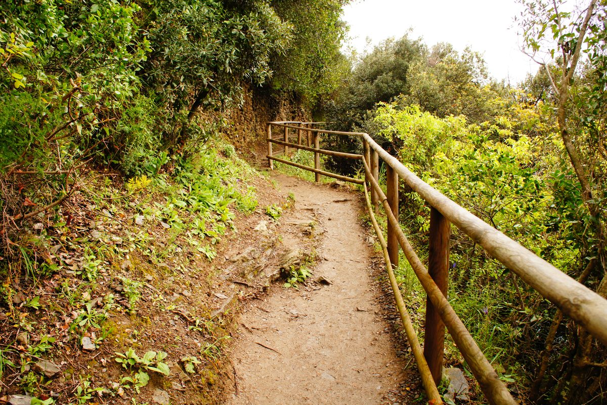 A narrow coastal footpath with a wooden railing in the Cinque Terre
