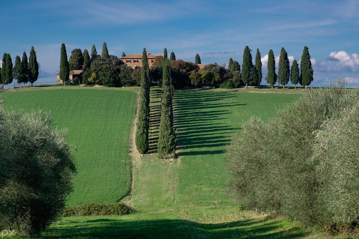 A farmhouse on a hilltop in the Val d'Orcia, reached by a line of cypresses through green fields