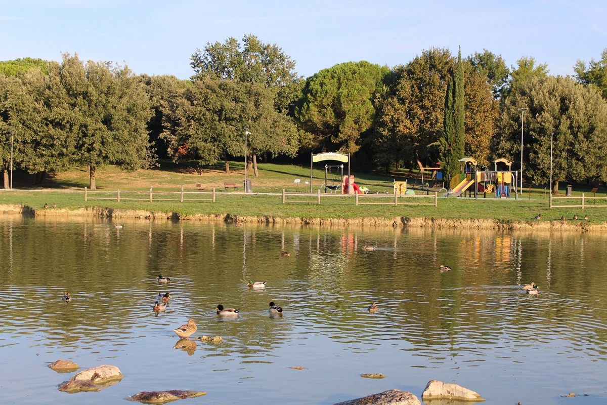 A pond with ducks in the Parco di Serravalle in Empoli, with a children's playground on the far bank