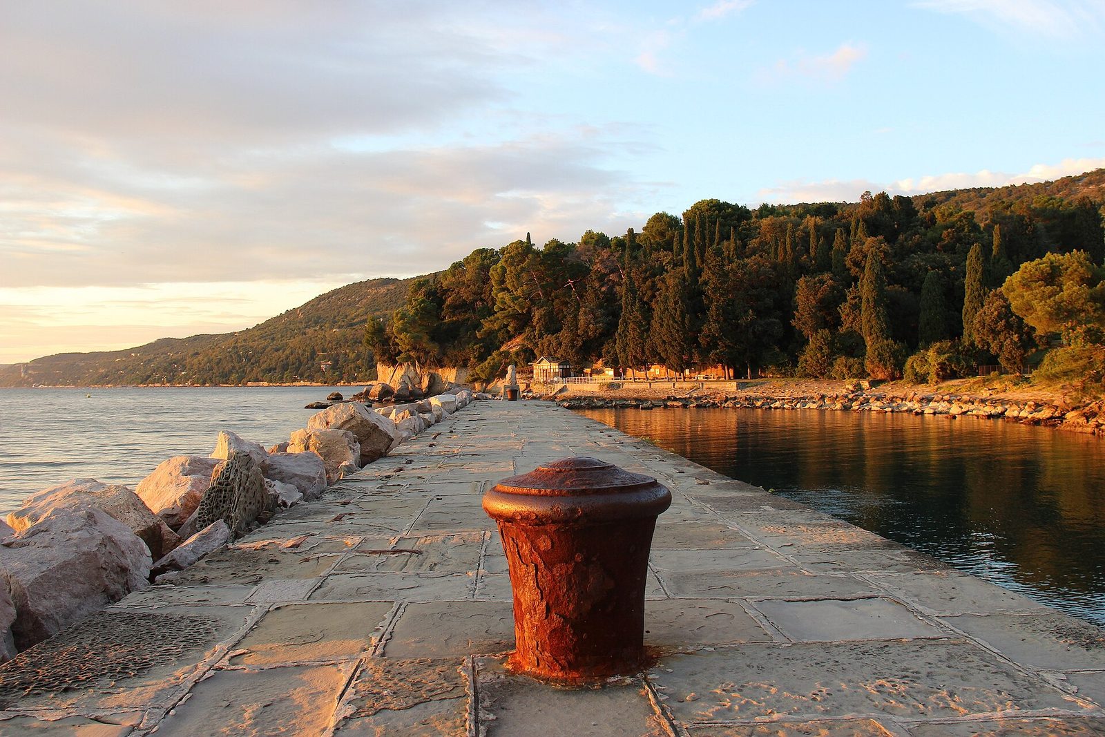 L'autorizzazione per questa foto è stata fornita da WWF Italia, Trieste (Friuli-Venezia Giulia, Italia)
