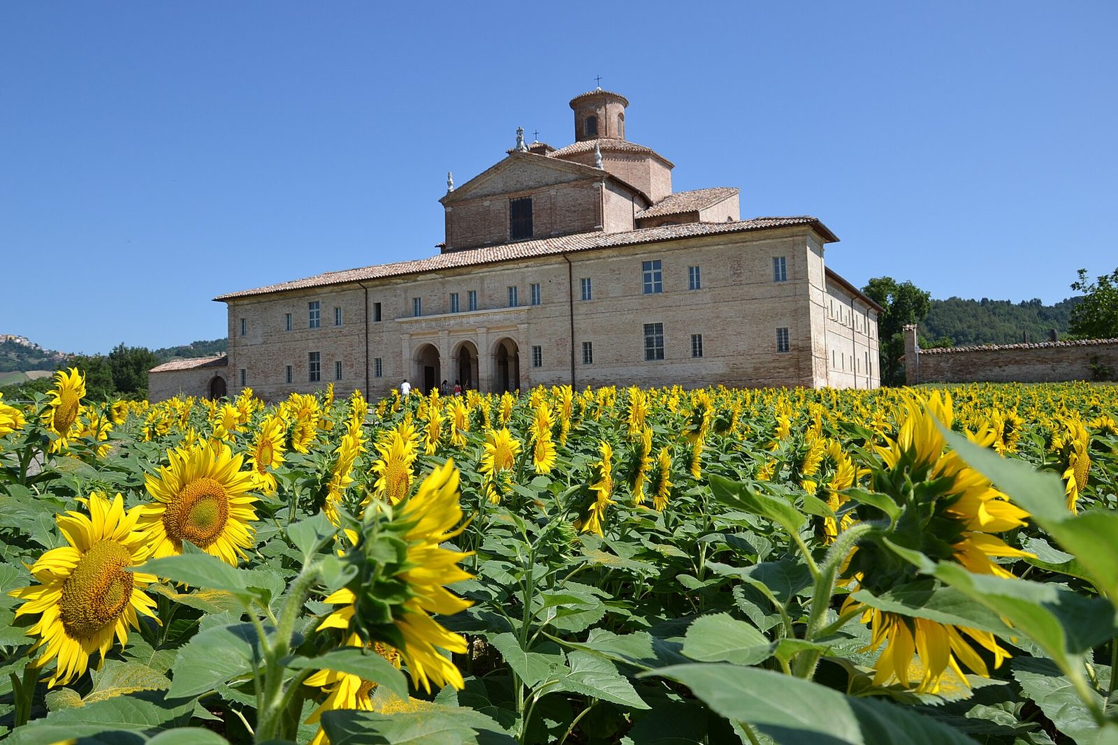 Ducal Palace of Urbania (Marche, Italia)